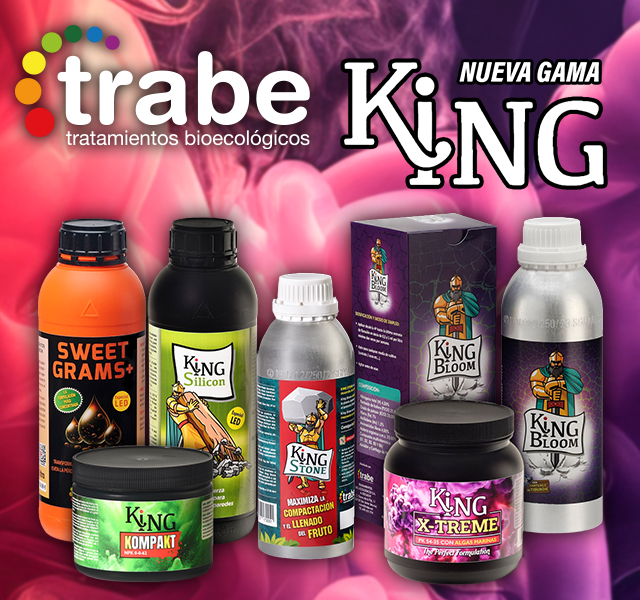 Trabe